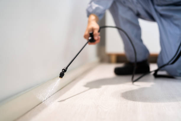 Licensed Rodent Control service in Apache, OK - Nex Pest Control