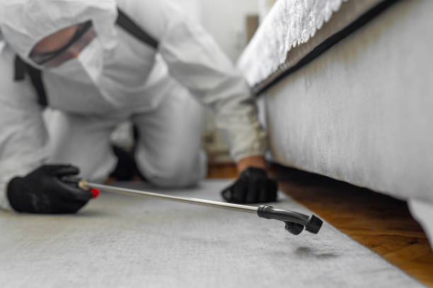Professional Rodent Control technician working in Apache, OK