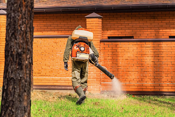 Top rated local Rodent Control specialists in Apache, OK
